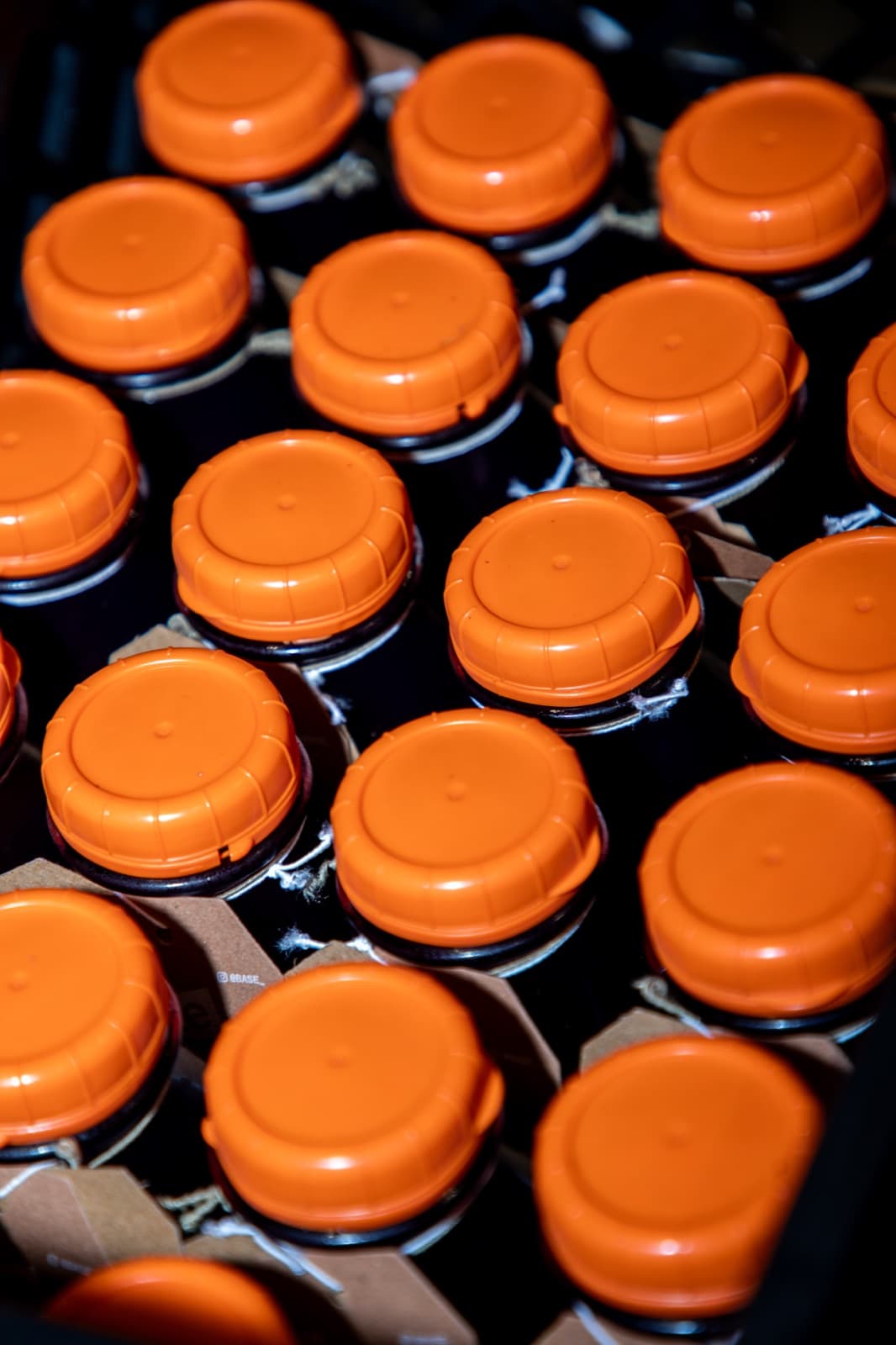 Bottle Caps