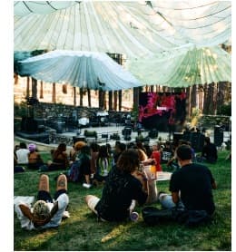 Crowd on the Lawn